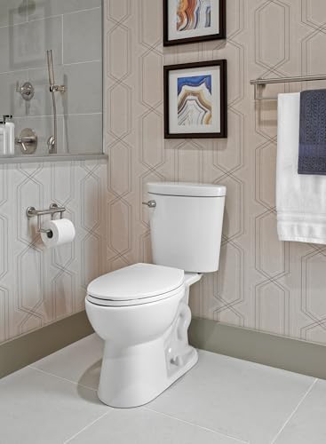 Fragile-Free Delta Faucet 75960-RB Dryden Tank Lever