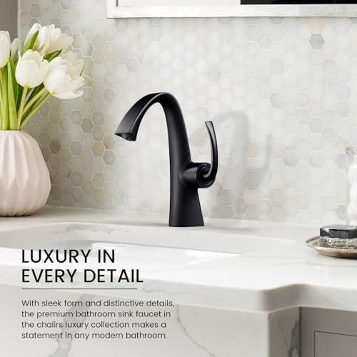 Chalirs Matte Black Single-Handle Bathroom Faucet