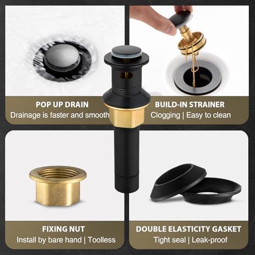 Rust-Resistant Black and Gold Faucet