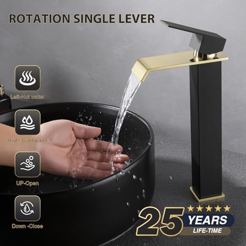 Rust-Resistant Black and Gold Faucet