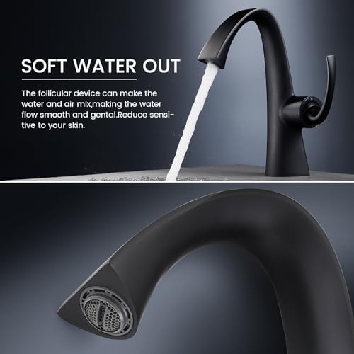 Chalirs Matte Black Single-Handle Bathroom Faucet