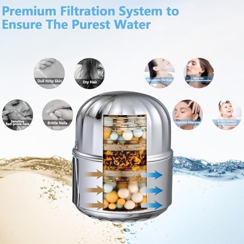 Dual Filtered Handheld Shower Head